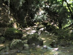 La Doria